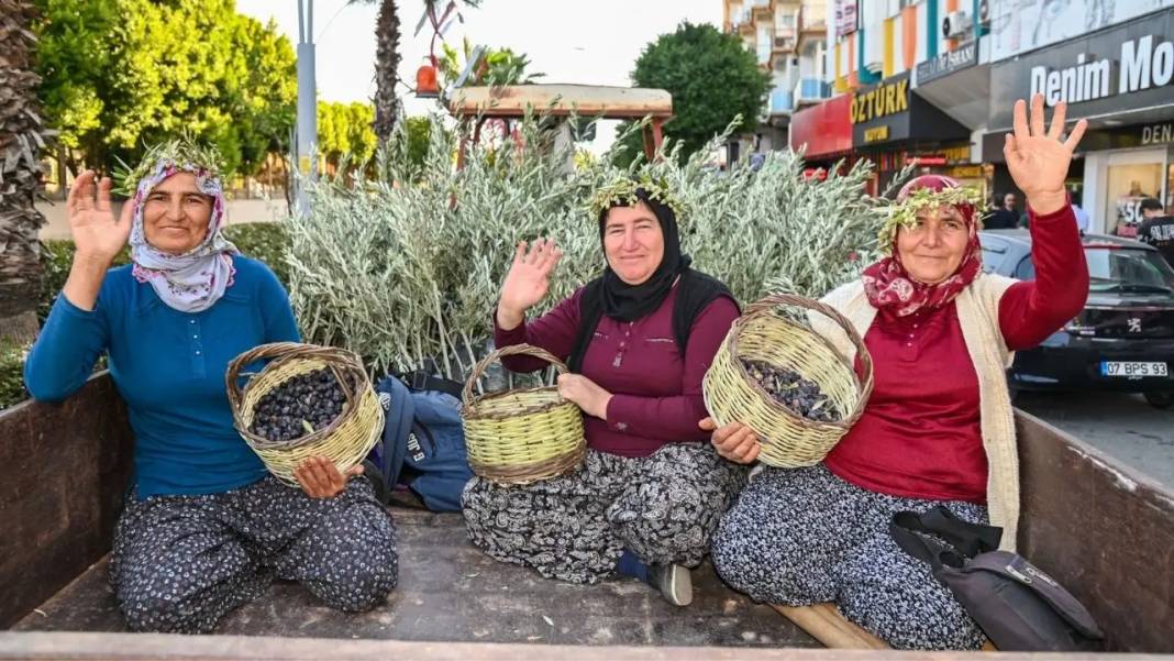 Manavgat’ta Zeytin ve Zeytinyağı Festivali İçin Geri Sayım Başladı! 5